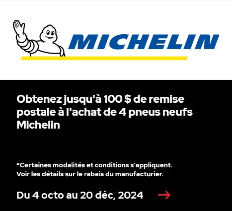 MICHELIN